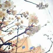 ヒメ日記 2026/03/09 09:27 投稿 美咲 CLASSY（クラッシー）.神戸