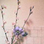 ヒメ日記 2026/03/11 09:55 投稿 美咲 CLASSY（クラッシー）.神戸