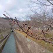 ヒメ日記 2026/03/16 16:52 投稿 美咲 CLASSY（クラッシー）.神戸