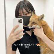 ヒメ日記 2026/05/18 19:57 投稿 たまご スピード日本橋店