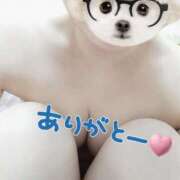 ヒメ日記 2026/03/03 12:42 投稿 あすか 出会い系人妻ネットワーク 渋谷〜目黒編