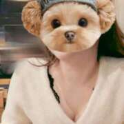 ヒメ日記 2026/03/06 01:03 投稿 あすか 出会い系人妻ネットワーク 渋谷〜目黒編