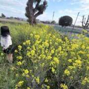 ヒメ日記 2026/03/18 15:25 投稿 甘蜜みかん【業界未経験】 素人専門キラキラ学園