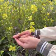 ヒメ日記 2026/03/28 22:05 投稿 甘蜜みかん【業界未経験】 素人専門キラキラ学園