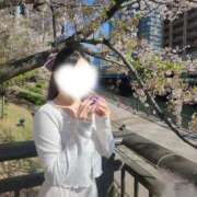 ヒメ日記 2026/04/09 12:44 投稿 すみれ ぐっすり山田 五反田店