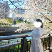 ヒメ日記 2026/04/11 00:09 投稿 すみれ ぐっすり山田 五反田店