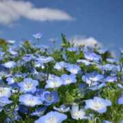 ヒメ日記 2026/03/04 18:18 投稿 体験ひな【妖美な魅力全開！】 仙台大人の秘密倶楽部