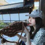 ヒメ日記 2026/10/12 17:47 投稿 桃瀬 まこ Canx2京都店