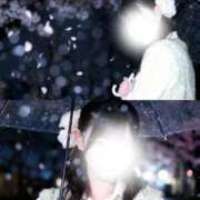 ヒメ日記 2026/03/12 12:00 投稿 丸川ひおな MIRAI TOKYO 新宿店