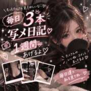 ヒメ日記 2026/10/11 22:00 投稿 あかり The White（ザ ホワイト）