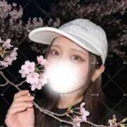 ヒメ日記 2026/05/02 07:31 投稿 れいな ナイトヴィーナス
