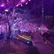 ヒメ日記 2026/02/20 23:27 投稿 桃白みく グランエステ東京 品川（シンデレラグループ）