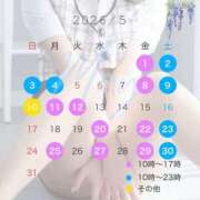 ヒメ日記 2026/04/06 18:31 投稿 かすみ セグレターリオ