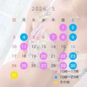 ヒメ日記 2026/04/25 20:23 投稿 かすみ セグレターリオ