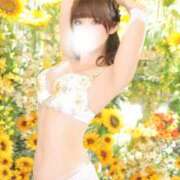 ヒメ日記 2026/07/06 09:33 投稿 かすみ セグレターリオ