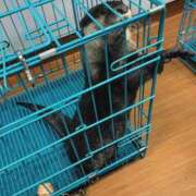 ヒメ日記 2026/03/05 13:38 投稿 はづき モアグループ川越人妻花壇