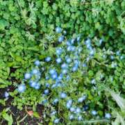 ヒメ日記 2026/04/04 08:01 投稿 はづき モアグループ川越人妻花壇