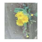 ヒメ日記 2026/04/22 05:43 投稿 はづき モアグループ川越人妻花壇