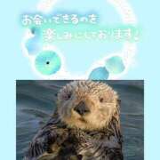 ヒメ日記 2026/08/12 20:03 投稿 はづき モアグループ川越人妻花壇
