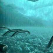 ヒメ日記 2026/02/21 18:39 投稿 いつき 奥様プリモ