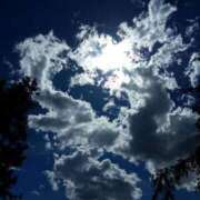 ヒメ日記 2026/02/23 12:09 投稿 いつき 奥様プリモ