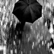 ヒメ日記 2026/03/19 04:49 投稿 いつき 奥様プリモ