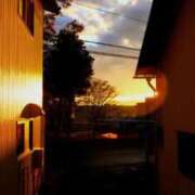 ヒメ日記 2026/03/21 16:09 投稿 いつき 奥様プリモ