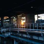 ヒメ日記 2026/03/23 19:59 投稿 いつき 奥様プリモ