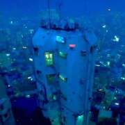 ヒメ日記 2026/03/24 23:19 投稿 いつき 奥様プリモ