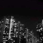 ヒメ日記 2026/04/05 22:19 投稿 いつき 奥様プリモ