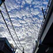 ヒメ日記 2026/04/06 17:59 投稿 いつき 奥様プリモ