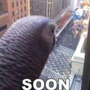 ヒメ日記 2026/04/09 14:39 投稿 いつき 奥様プリモ