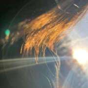 ヒメ日記 2026/04/11 14:49 投稿 いつき 奥様プリモ