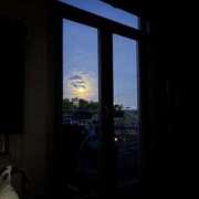 ヒメ日記 2026/04/12 00:59 投稿 いつき 奥様プリモ