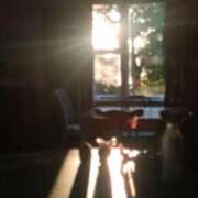 ヒメ日記 2026/04/12 13:09 投稿 いつき 奥様プリモ