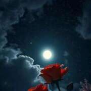 ヒメ日記 2026/04/13 21:49 投稿 いつき 奥様プリモ