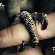 ヒメ日記 2026/04/18 16:19 投稿 いつき 奥様プリモ