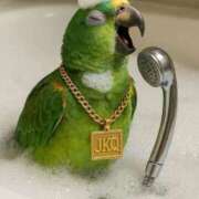 ヒメ日記 2026/04/18 17:29 投稿 いつき 奥様プリモ