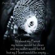 ヒメ日記 2026/04/19 20:39 投稿 いつき 奥様プリモ