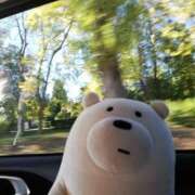 ヒメ日記 2026/04/20 11:09 投稿 いつき 奥様プリモ