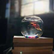 ヒメ日記 2026/04/22 10:09 投稿 いつき 奥様プリモ