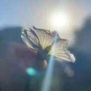 ヒメ日記 2026/04/22 15:31 投稿 いつき 奥様プリモ