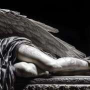 ヒメ日記 2026/04/23 14:09 投稿 いつき 奥様プリモ