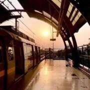 ヒメ日記 2026/04/23 17:33 投稿 いつき 奥様プリモ