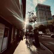 ヒメ日記 2026/04/24 14:29 投稿 いつき 奥様プリモ