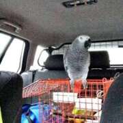 ヒメ日記 2026/04/24 14:39 投稿 いつき 奥様プリモ