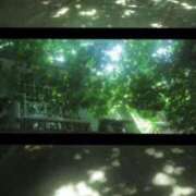 ヒメ日記 2026/04/26 15:47 投稿 いつき 奥様プリモ