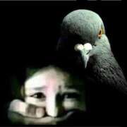 ヒメ日記 2026/04/28 12:30 投稿 いつき 奥様プリモ