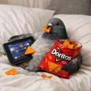 ヒメ日記 2026/04/28 16:19 投稿 いつき 奥様プリモ