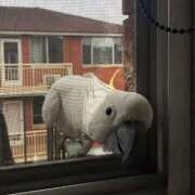 ヒメ日記 2026/04/28 17:39 投稿 いつき 奥様プリモ